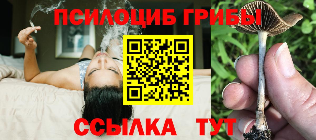 Галлюциногенные грибы Psilocybe  Галлюциногенные грибы Psilocybe  Мичуринск  Вход с VPN 